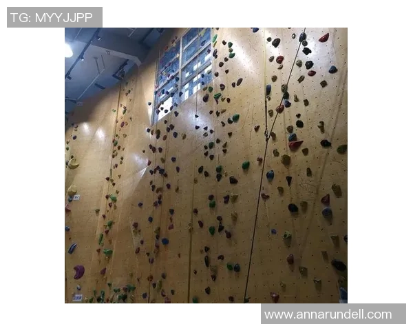 极限运动世界杯点评：南京攀岩队的状态表现_1